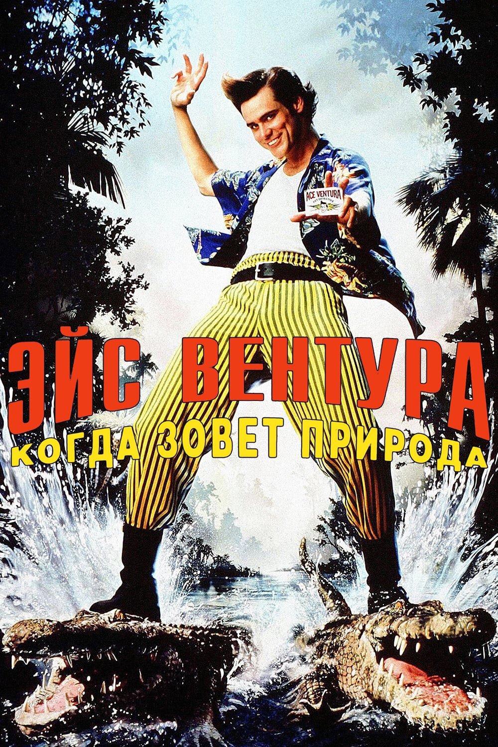Эйс Вентура 2: Когда зовет природа смотреть онлайн (1995)