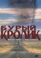  Бурый кролик смотреть онлайн (2003) 