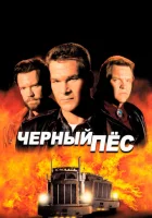  Черный пес смотреть онлайн (1998) 