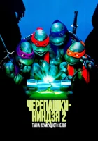  Черепашки-ниндзя 2: Тайна изумрудного зелья смотреть онлайн (1991) 