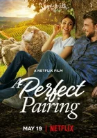  Идеальное сочетание смотреть онлайн (2022) 