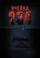  Ячейка 234 смотреть онлайн (2023) 