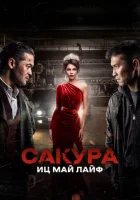  Сакура смотреть онлайн (2024) 