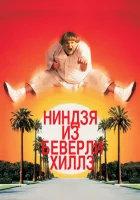  Ниндзя из Беверли Хиллз смотреть онлайн (1997) 