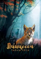  Линцесса. Тайны леса смотреть онлайн (2023) 