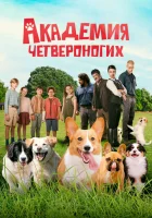  Академия четвероногих смотреть онлайн (2024) 