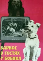  Барбос в гостях у Бобика смотреть онлайн (1964) 