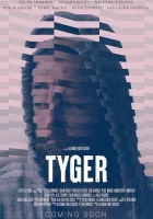  Тигр смотреть онлайн (2024) 