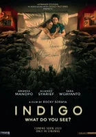  Индиго смотреть онлайн (2023) 