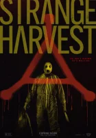  Странный урожай смотреть онлайн (2024) 