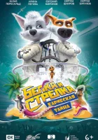  Белка и Стрелка: Карибская тайна смотреть онлайн (2020) 