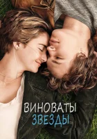  Виноваты звезды смотреть онлайн (2014) 